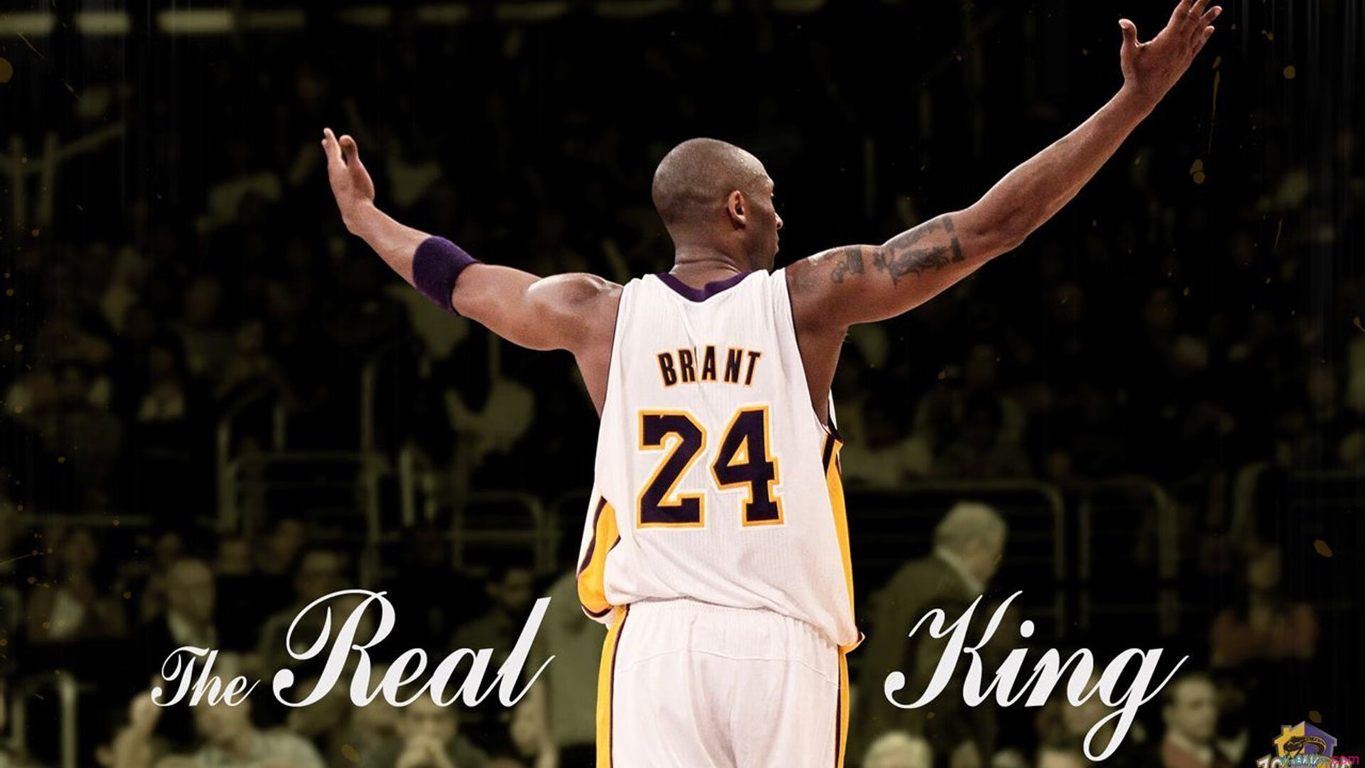 球队战术体系迎来全面革新，篮球全队战术分为